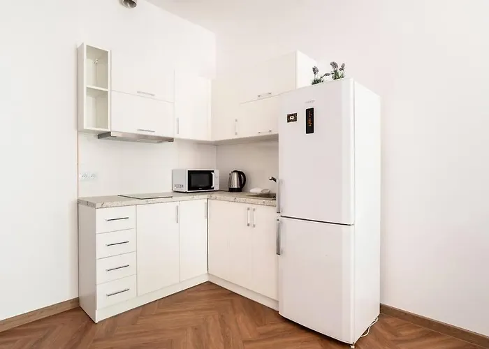 The Tuwima 23 דירה לודז'